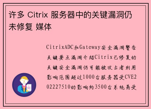许多 Citrix 服务器中的关键漏洞仍未修复 媒体